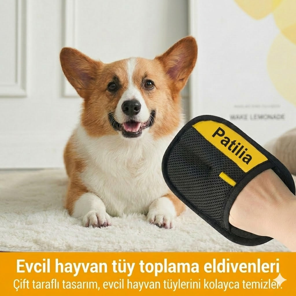 Patilia Çift Taraflı Evcil Hayvan Tarama Eldiveni